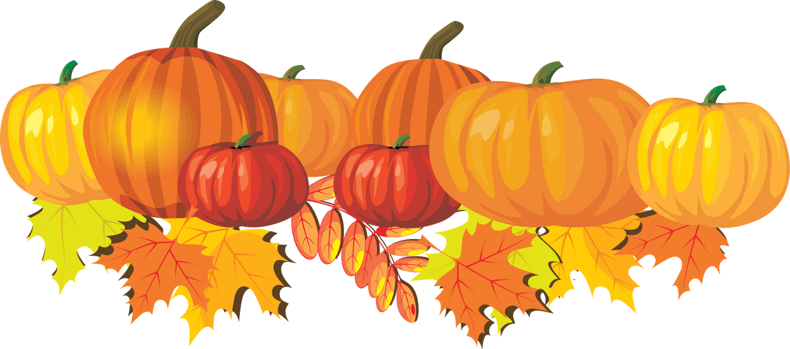 thanksgiving pumpkins clipart