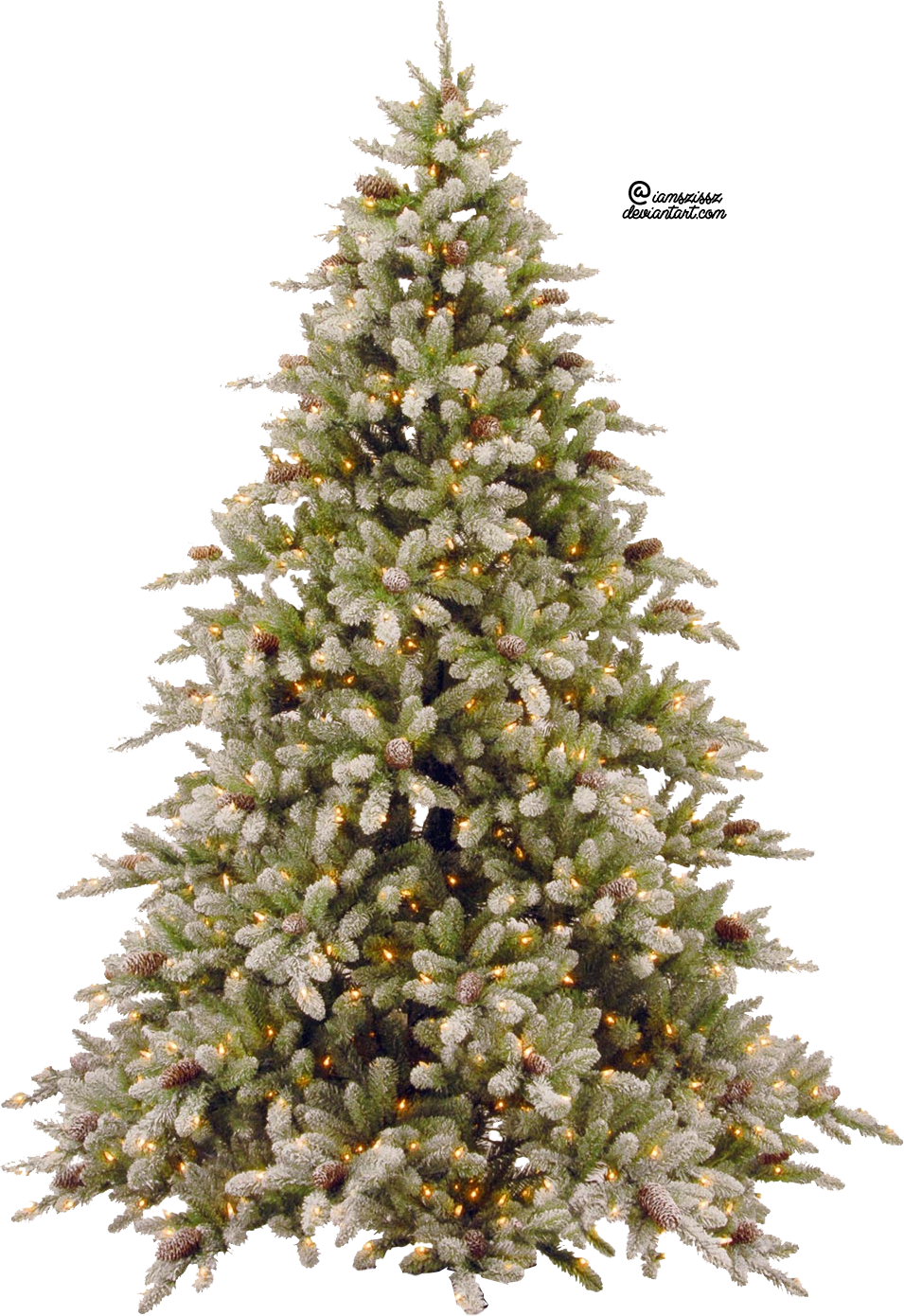 Christmas Tree Branches PNG Transparent Images Free Download