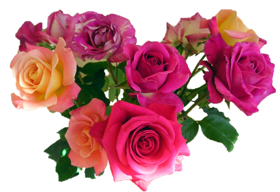 pink roses bouquet png