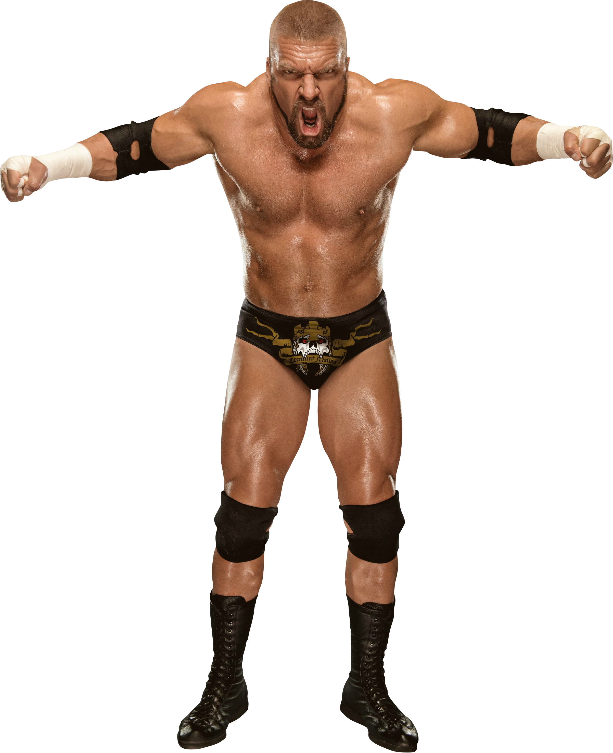 triple h logo png