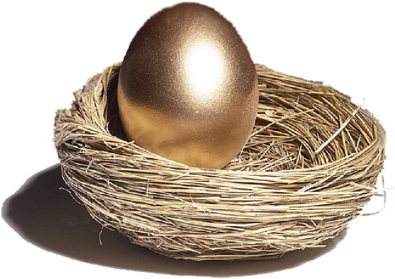 retirement egg icon