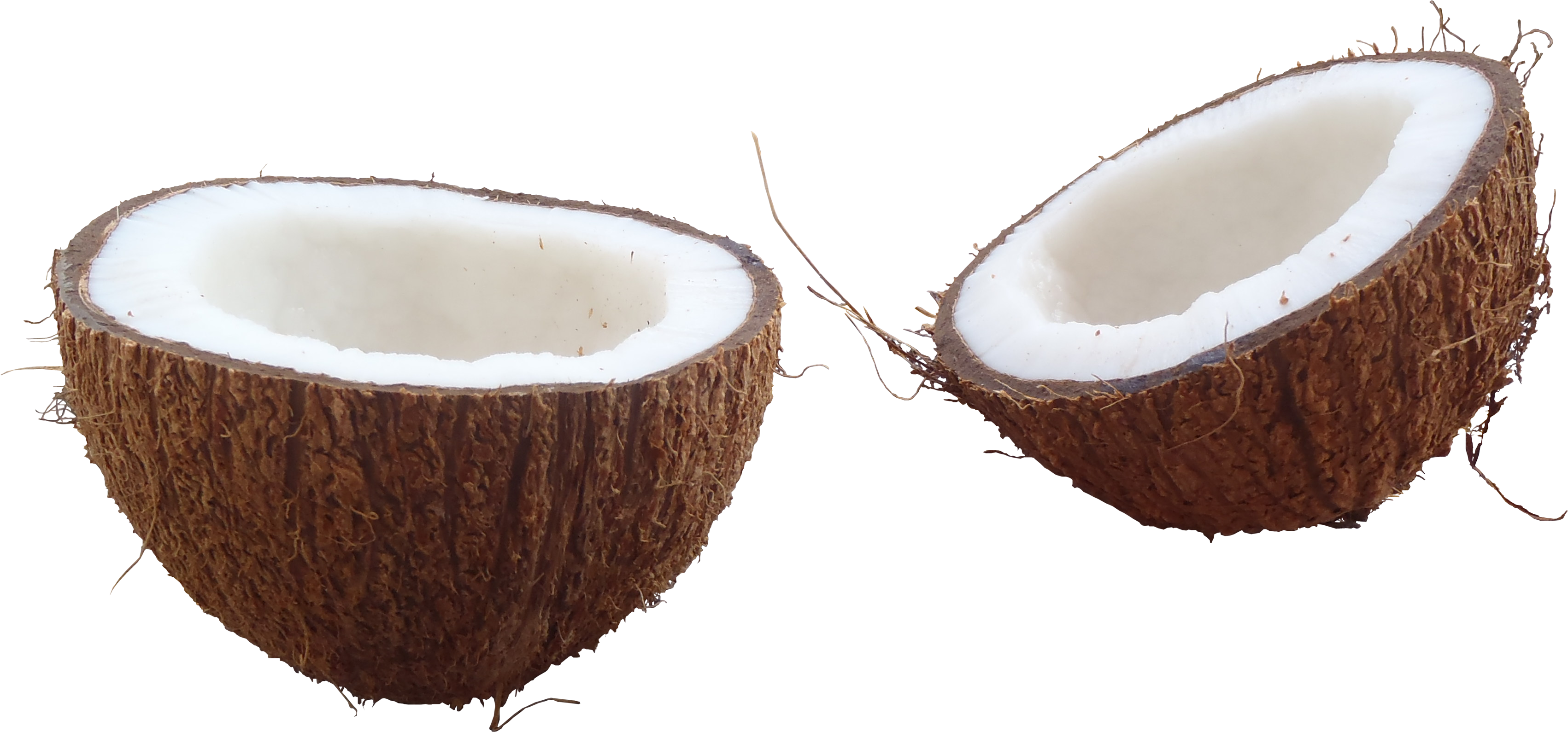 coconut png