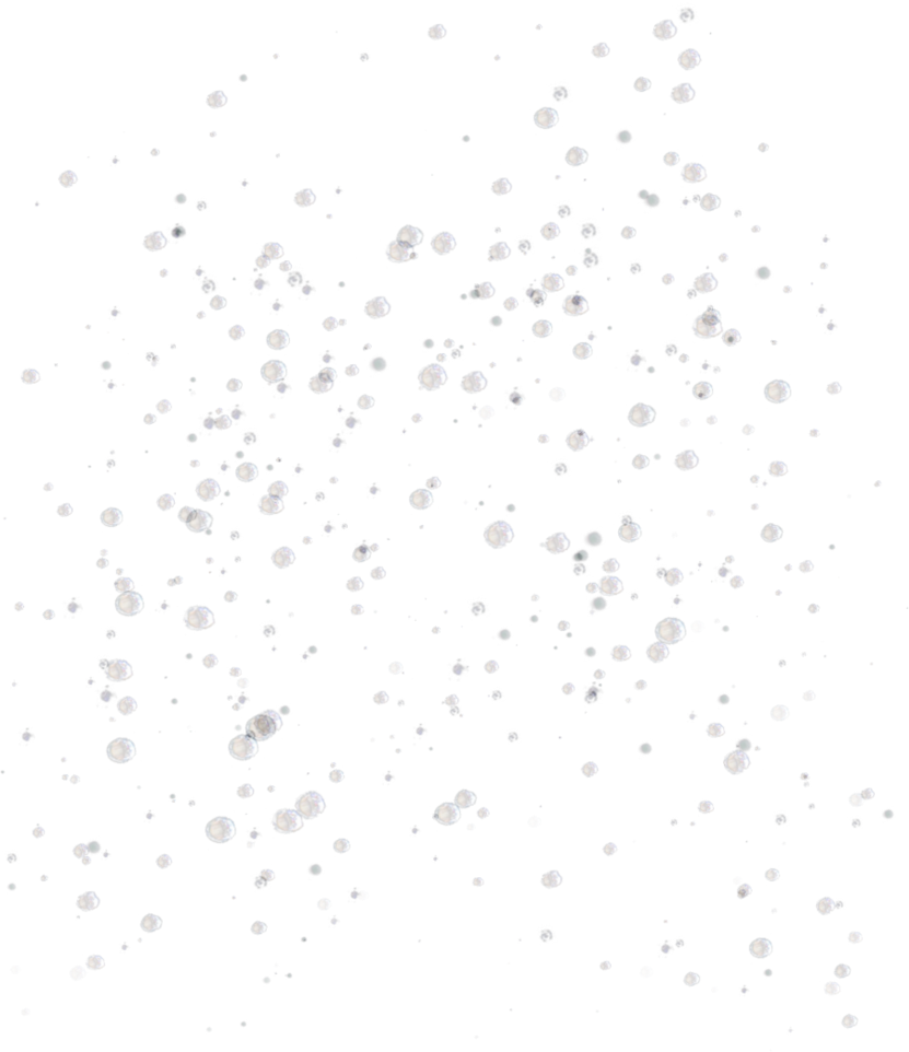 Water Bubbles PNGs for Free Download