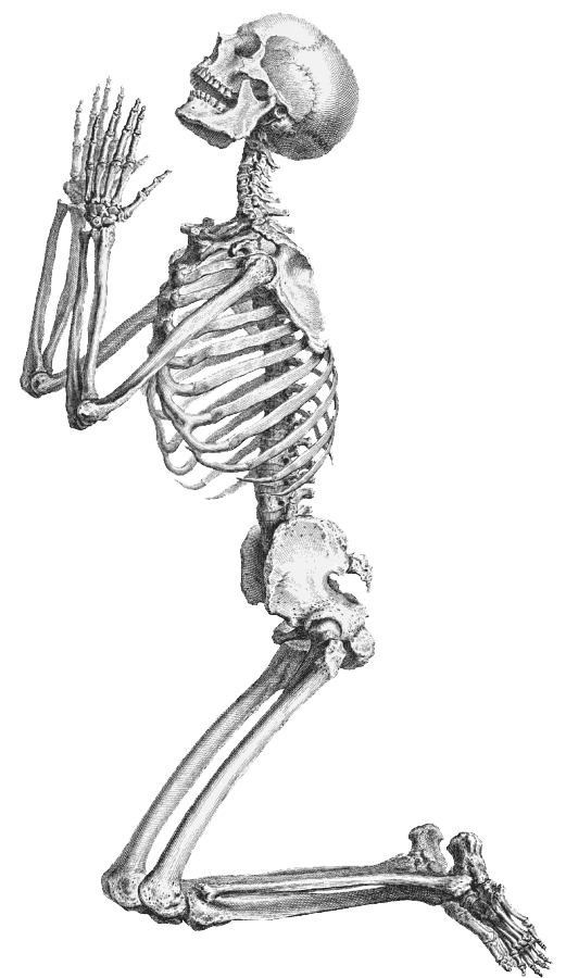 spooky skeleton transparent