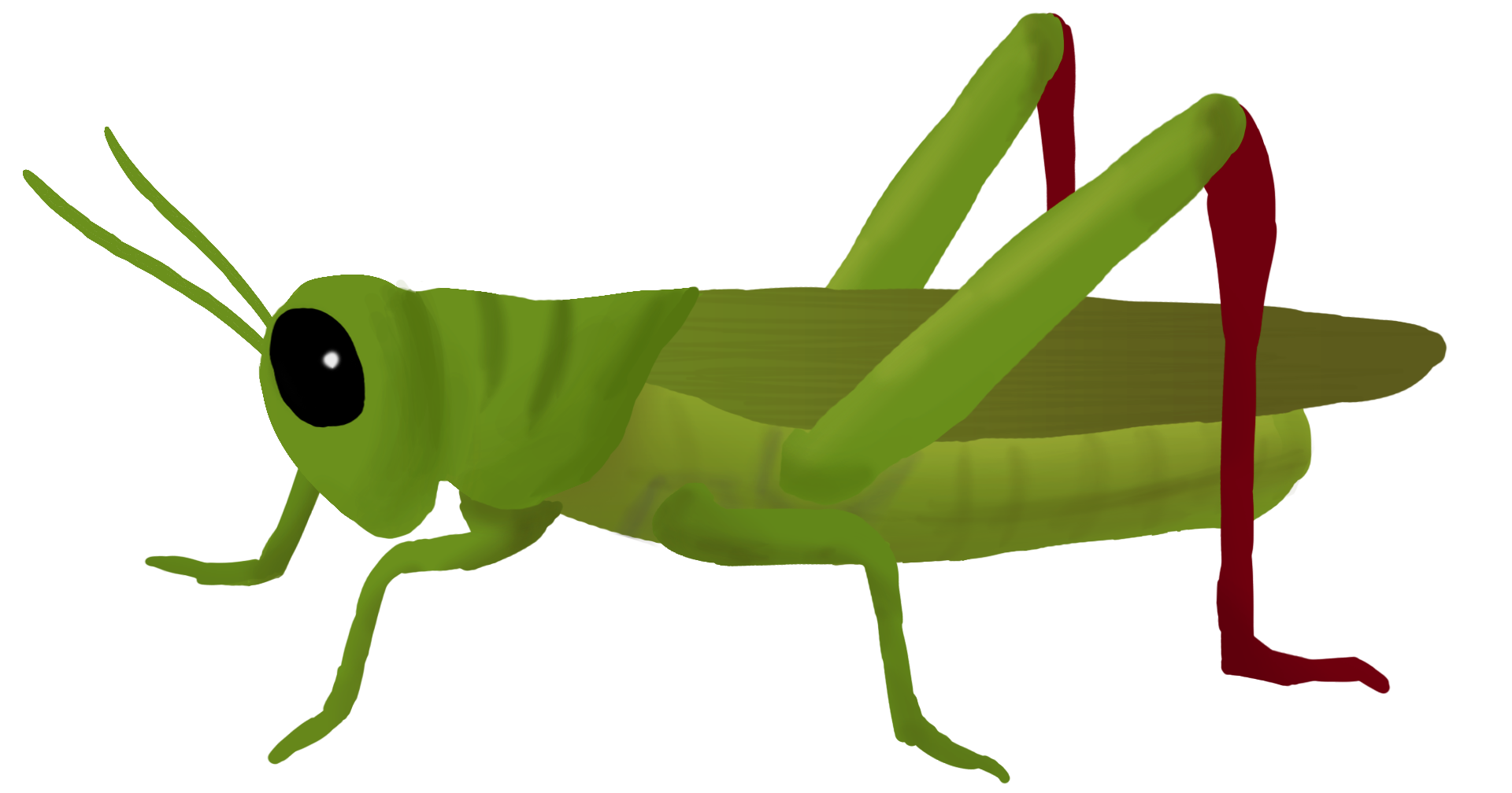 green grasshopper clipart