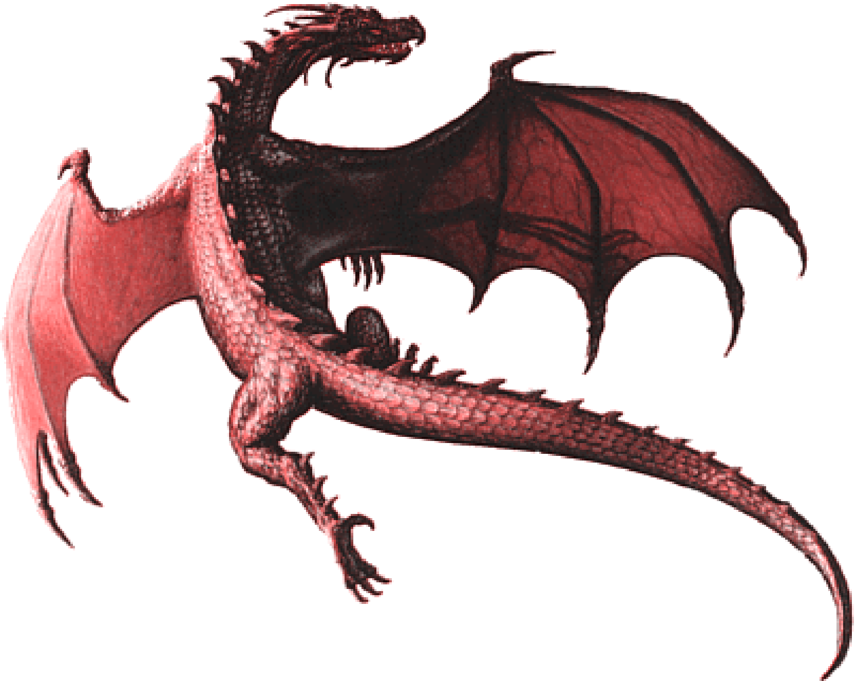 dragon png transparent