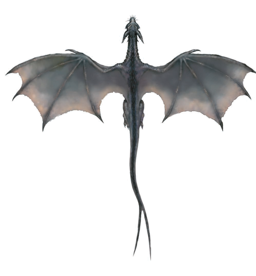 3d Dragon PNG Transparent Images Free Download