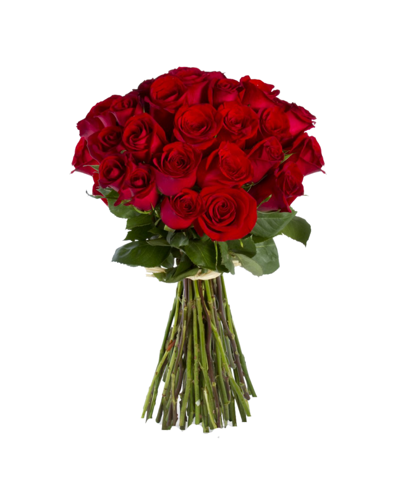 red roses bouquet clipart