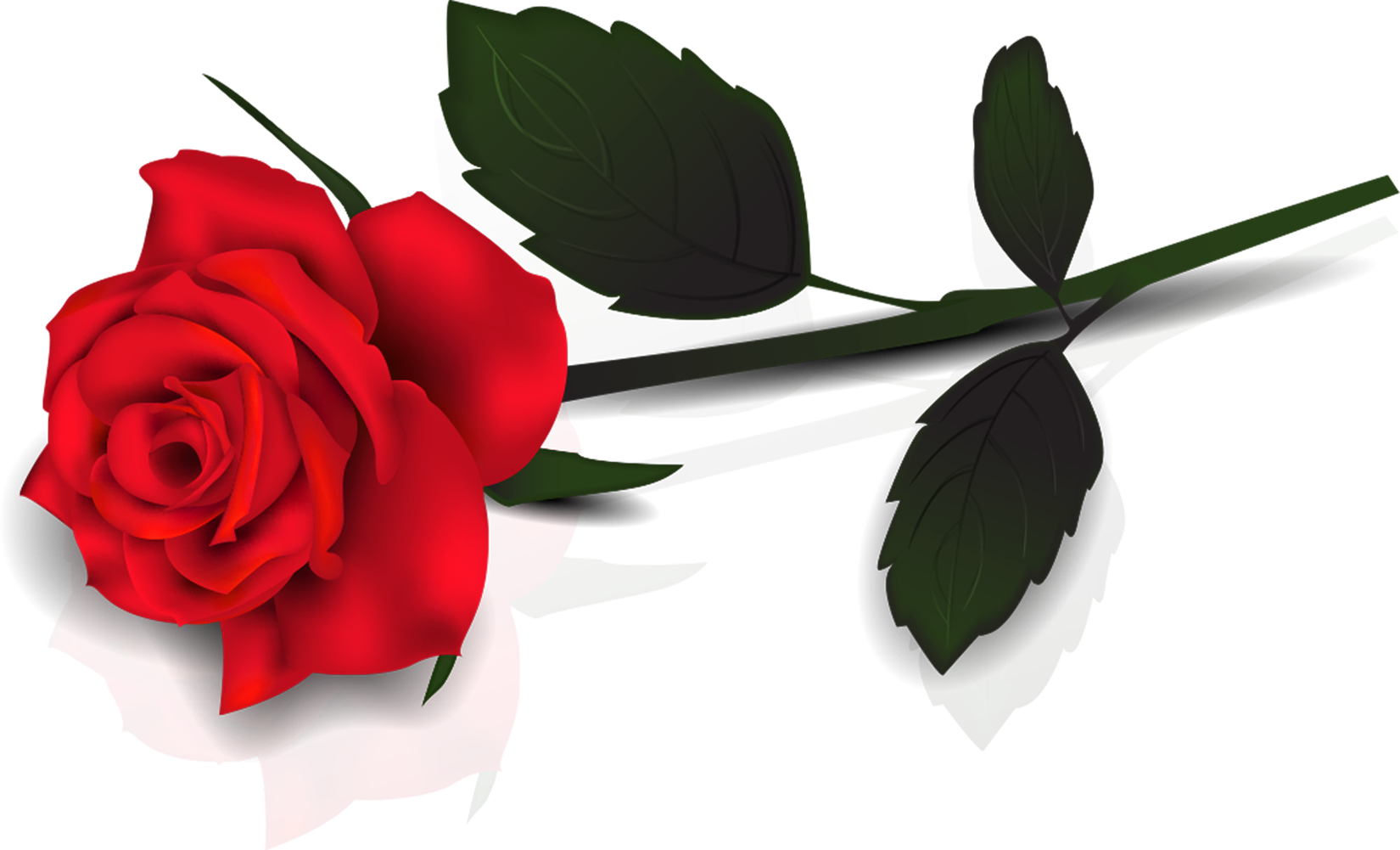 single stem rose png