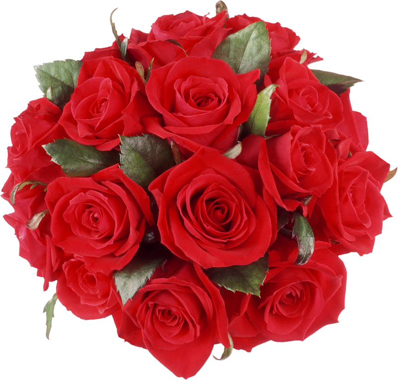 rose bunch png