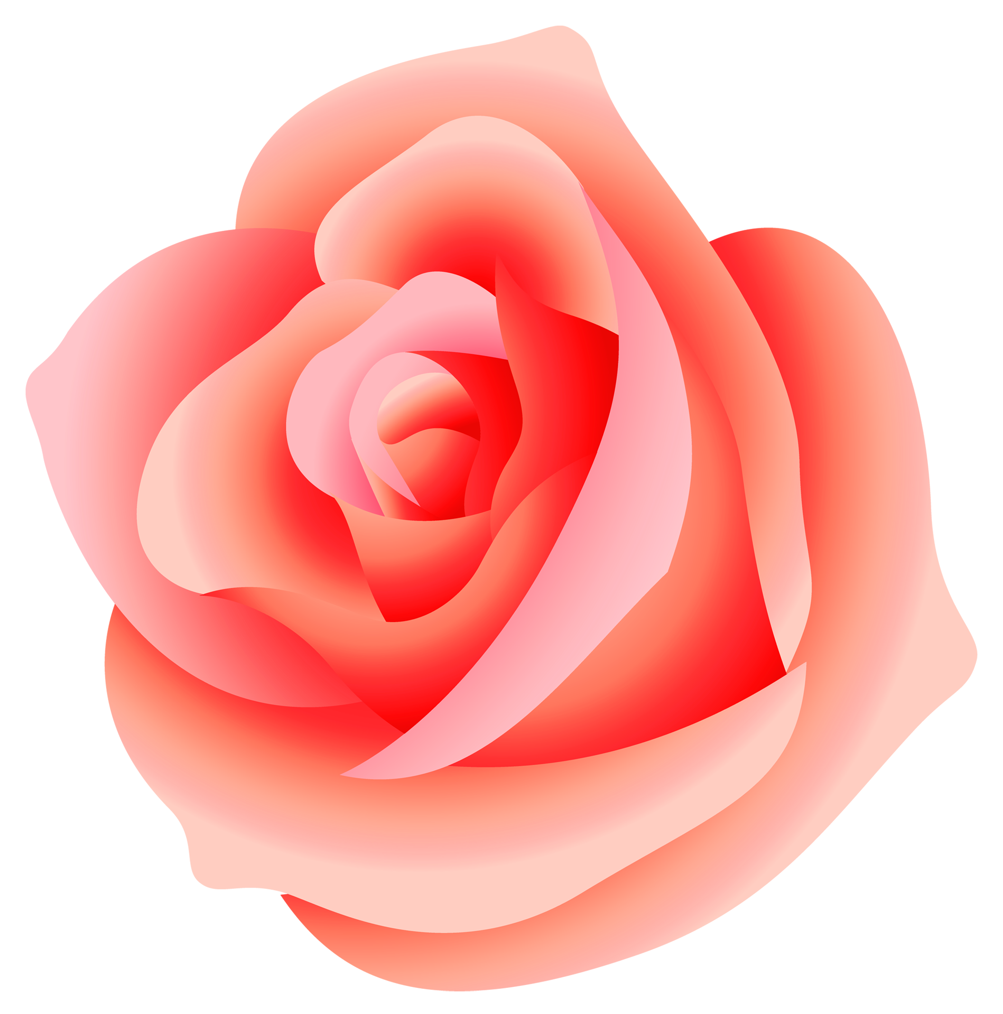 rosa png