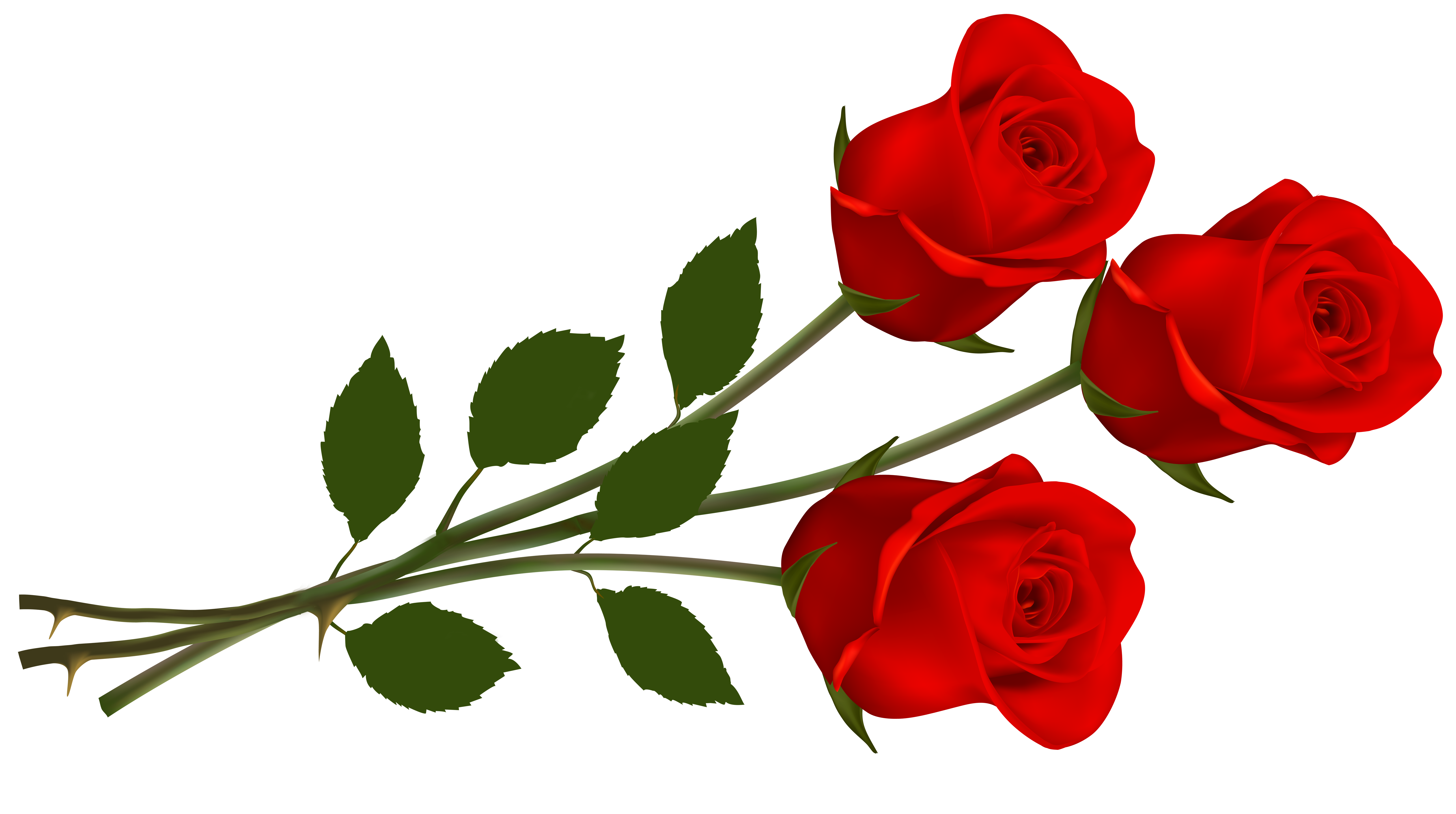 single stem rose png