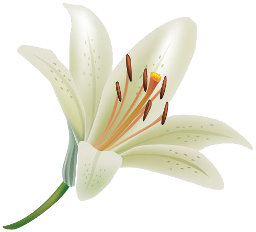 lilies clipart free