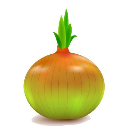 onion vector png