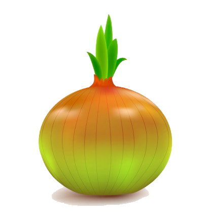 Red Shallot PNG Transparent Images Free Download, Vector Files