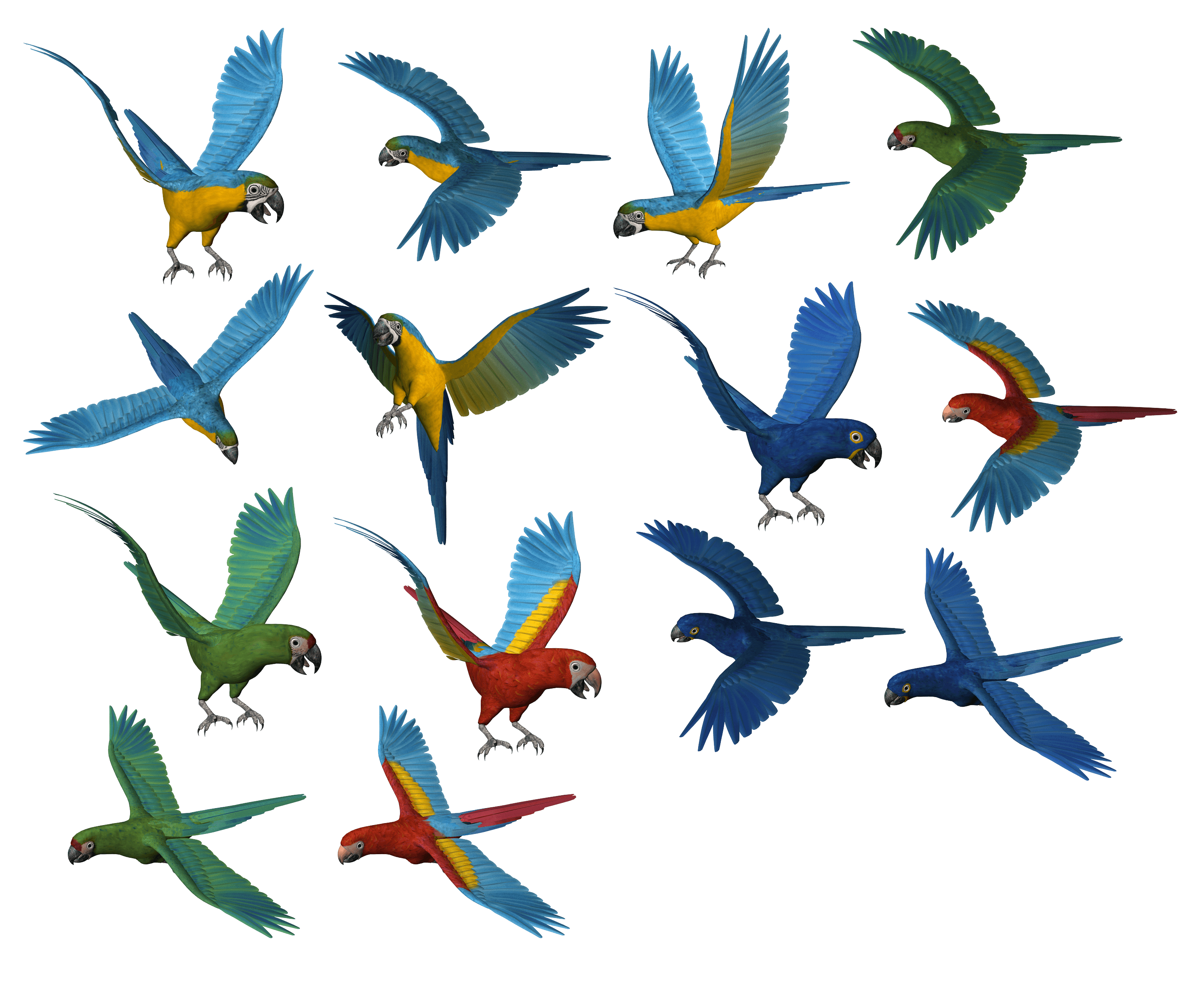 parrot flying png