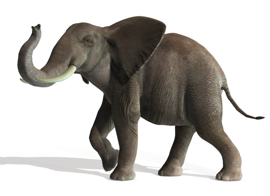 Big Elephant PNG PNG Image for Free Download