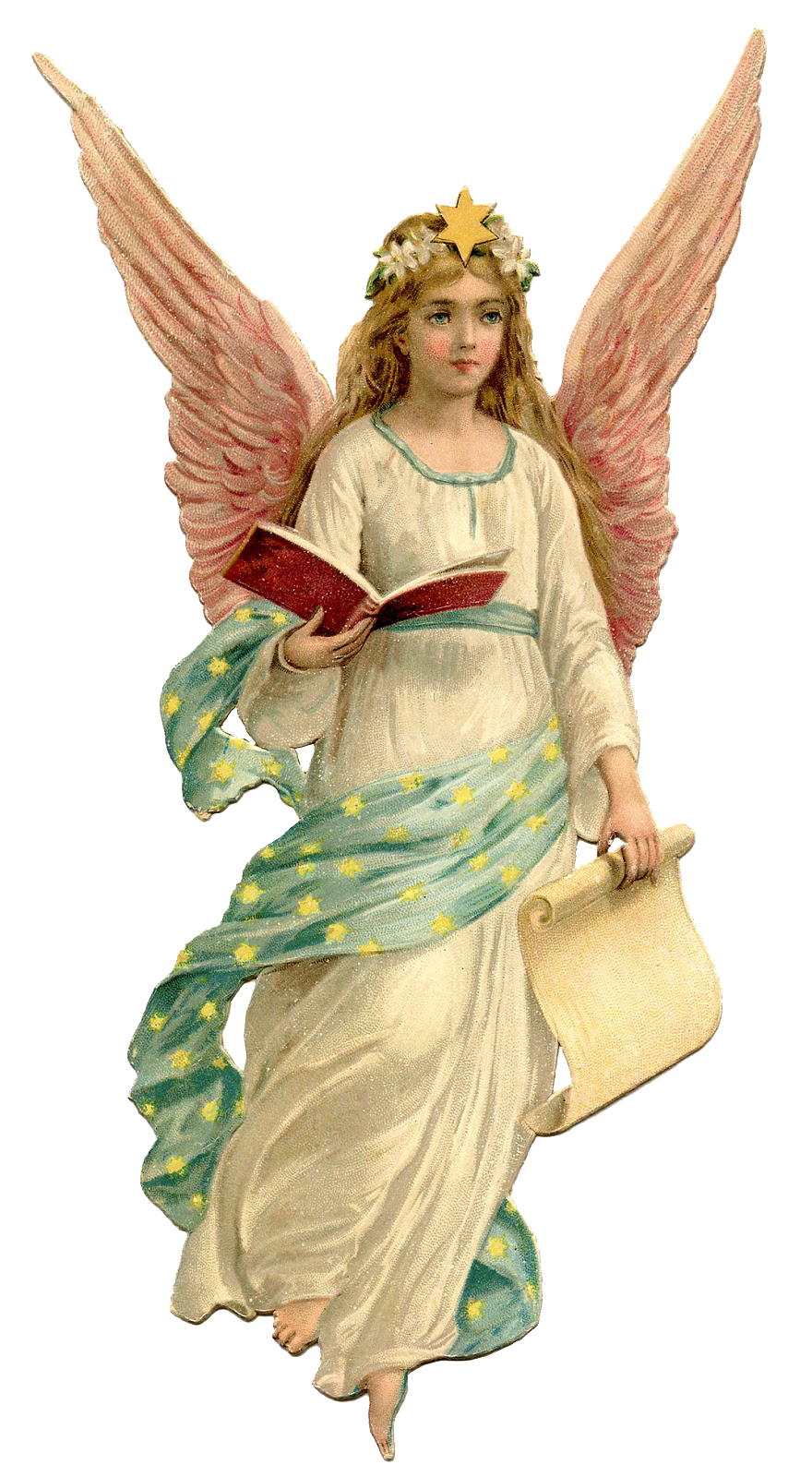 angel transparent background