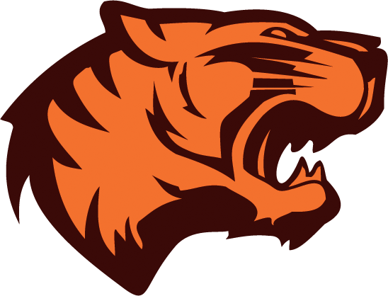 tiger face vector free download