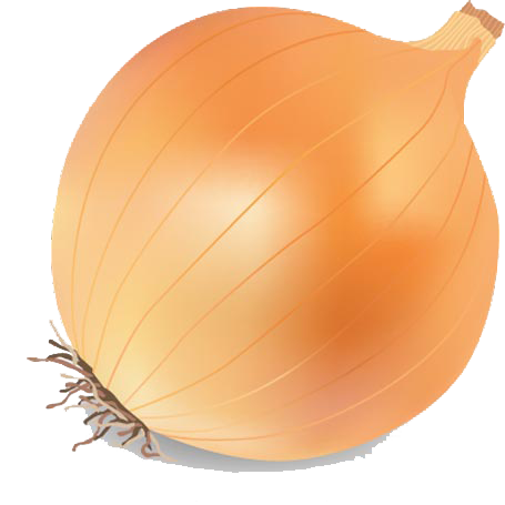 Shallot PNG Transparent Images Free Download, Vector Files