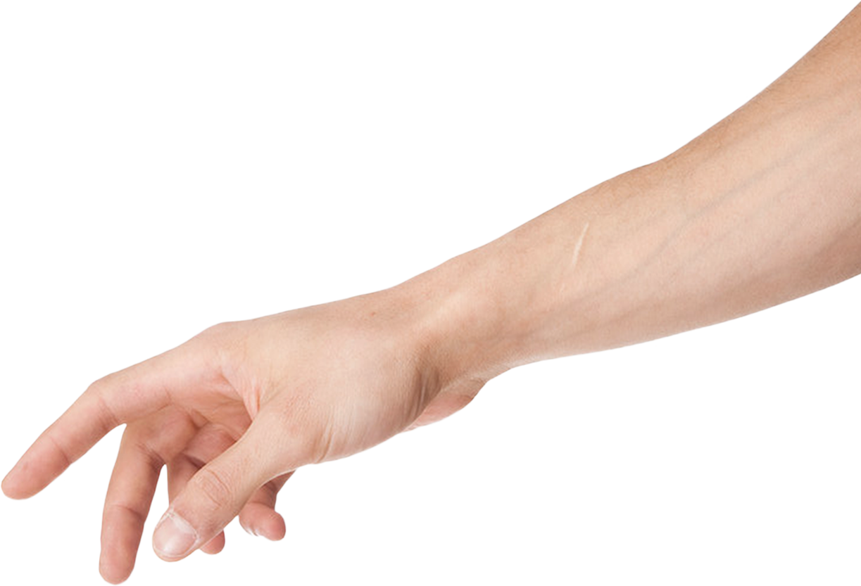 hand and forearm clipart