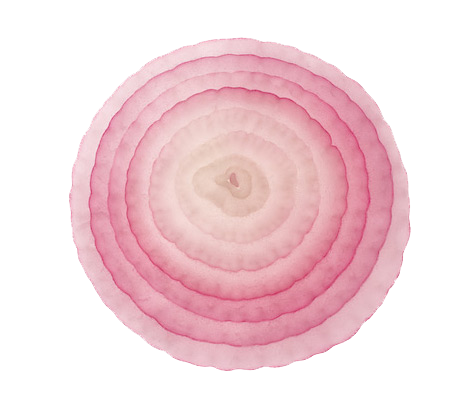 sliced onion png