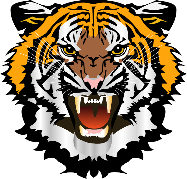 images of tigers face