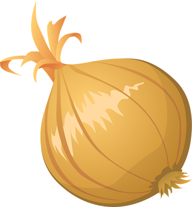 onion vector png