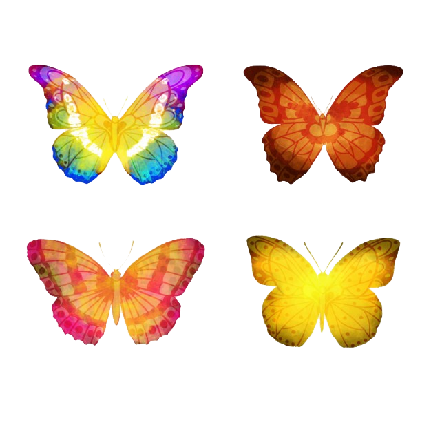 Butterfly Images  Free HD Backgrounds, PNGs, Vectors