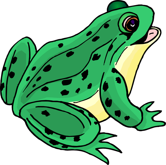 adult frog clipart