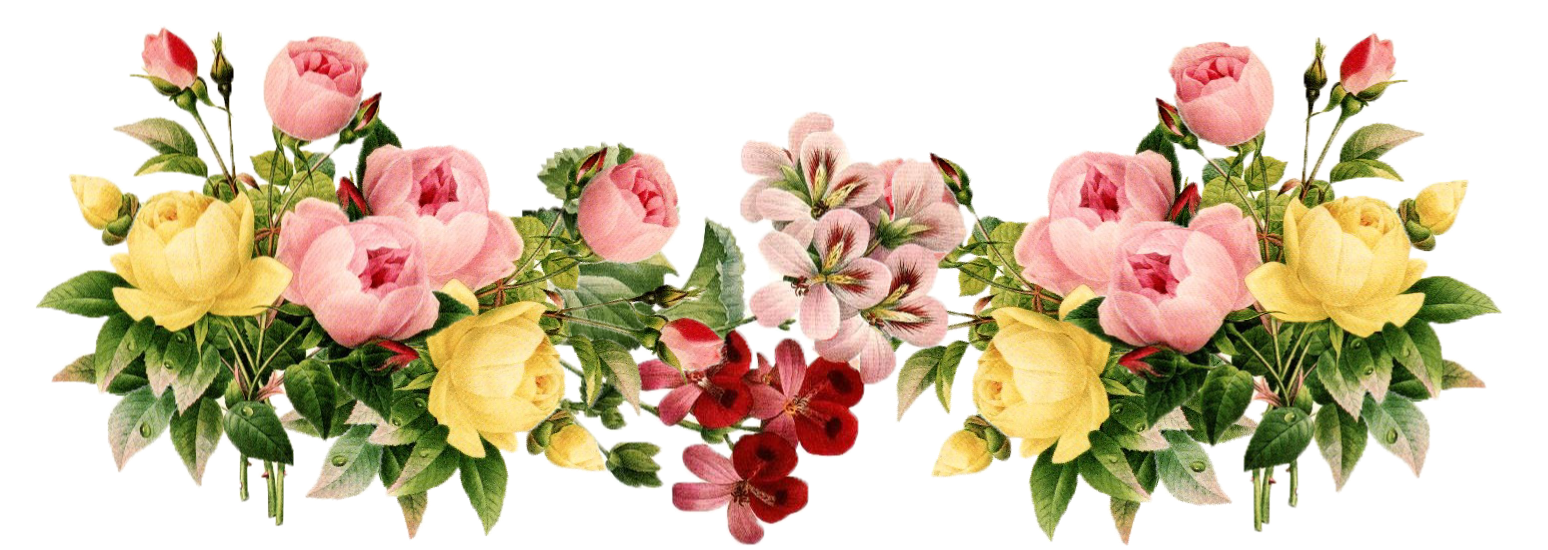 Free download, HD PNG floral graphic PNG transparent with Clear Background  ID 193408