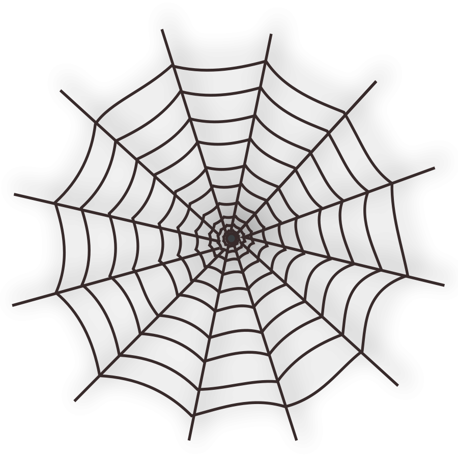 white spider web png