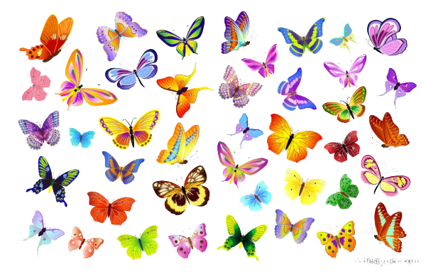 butterfly vector png