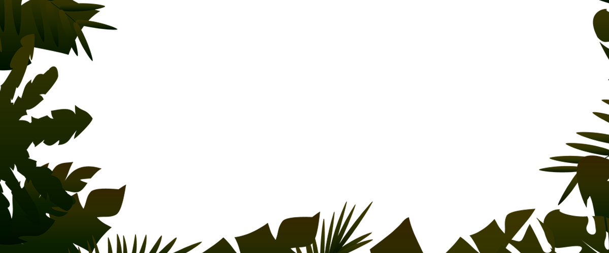 jungle png