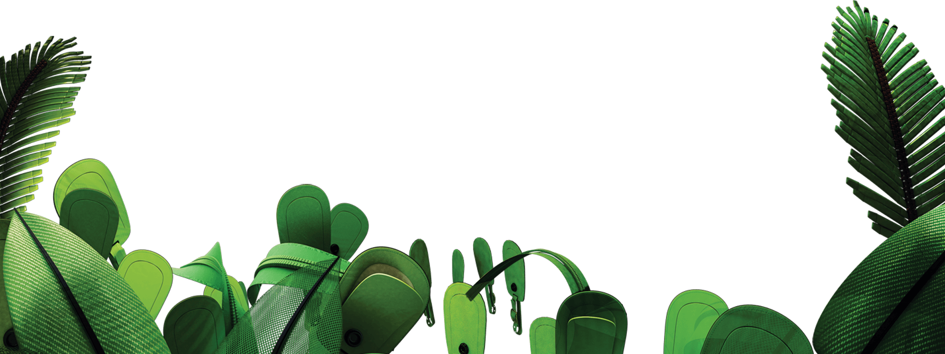 Download Jungle Picture HQ PNG Image