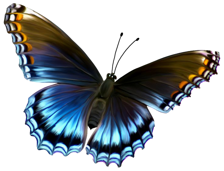 Download Flying Butterflies HQ PNG Image