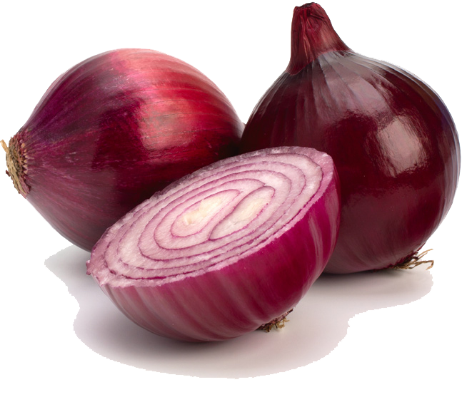 onion clipart