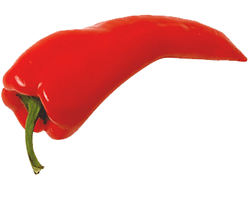 Red Chili Pepper PNG Transparent Images Free Download, Vector Files