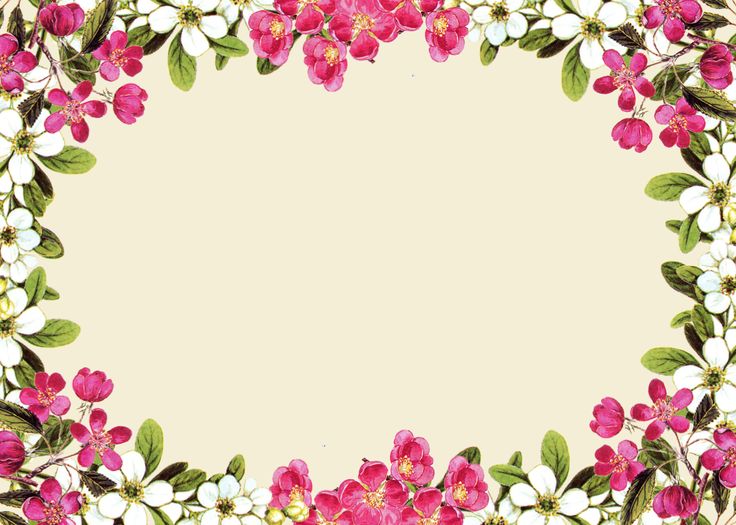 free flower border designs