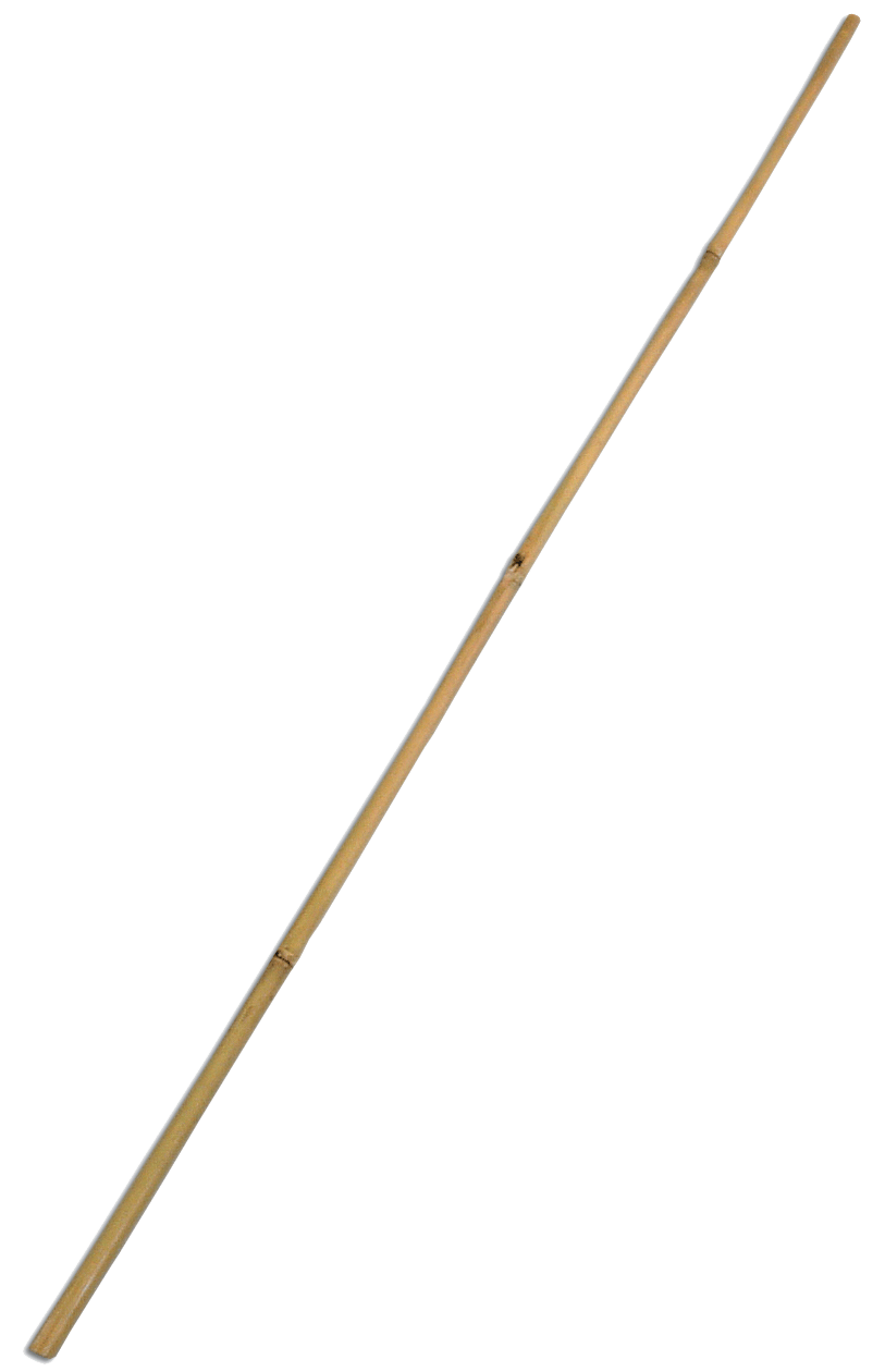 bamboo stick png