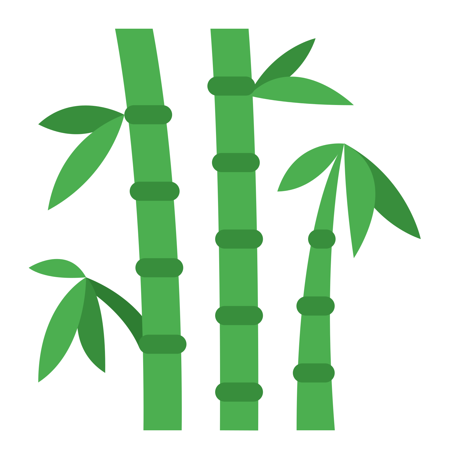 bamboo clipart pictures