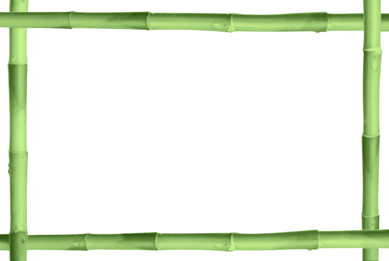 bamboo stick png