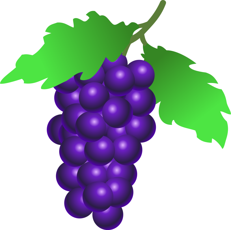 grapes tree clip art