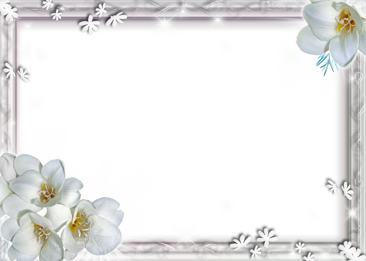 https://freepngimg.com/save/34908-white-flower-frame-file/1280x914