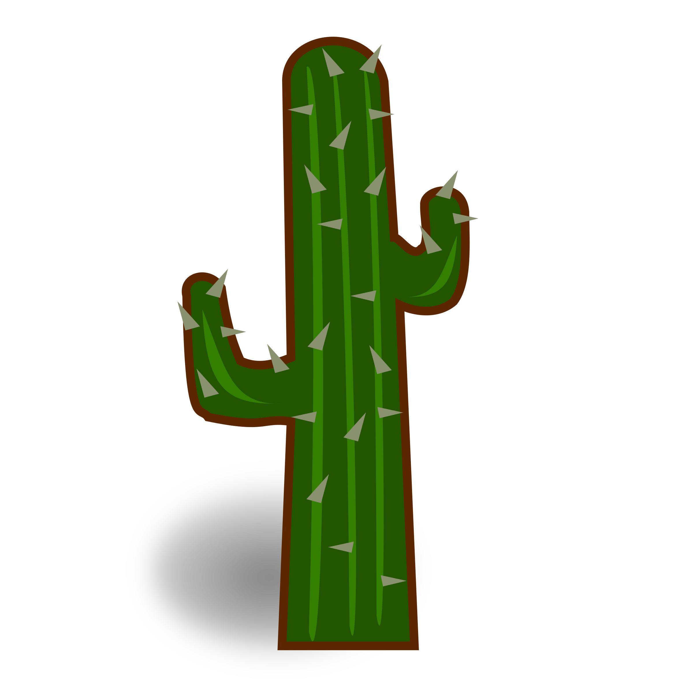 Cactus clipart png images