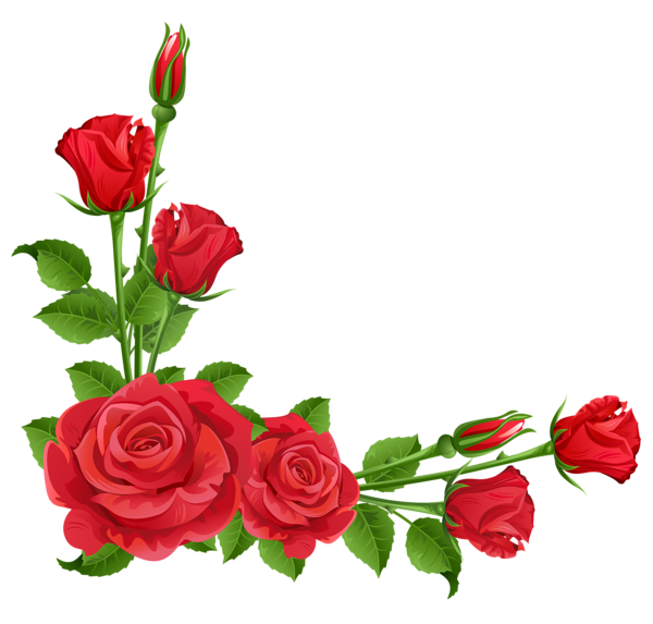 Download Red Flower Frame Free Download HQ PNG Image