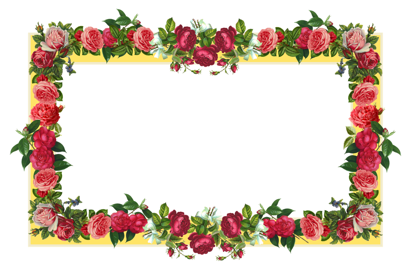 red flower borders and frames