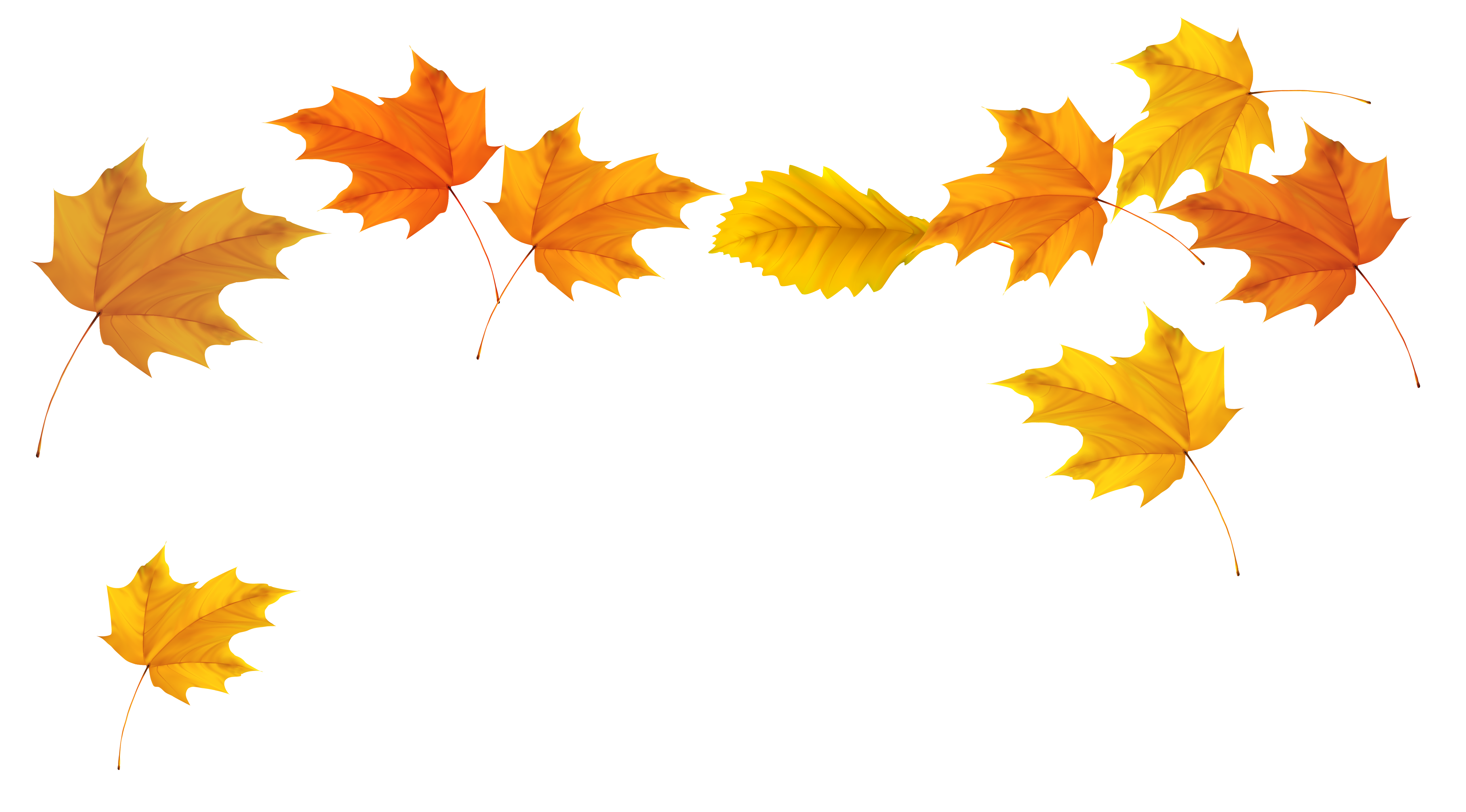 Download Falling Leaves Transparent Background HQ PNG Image | FreePNGImg