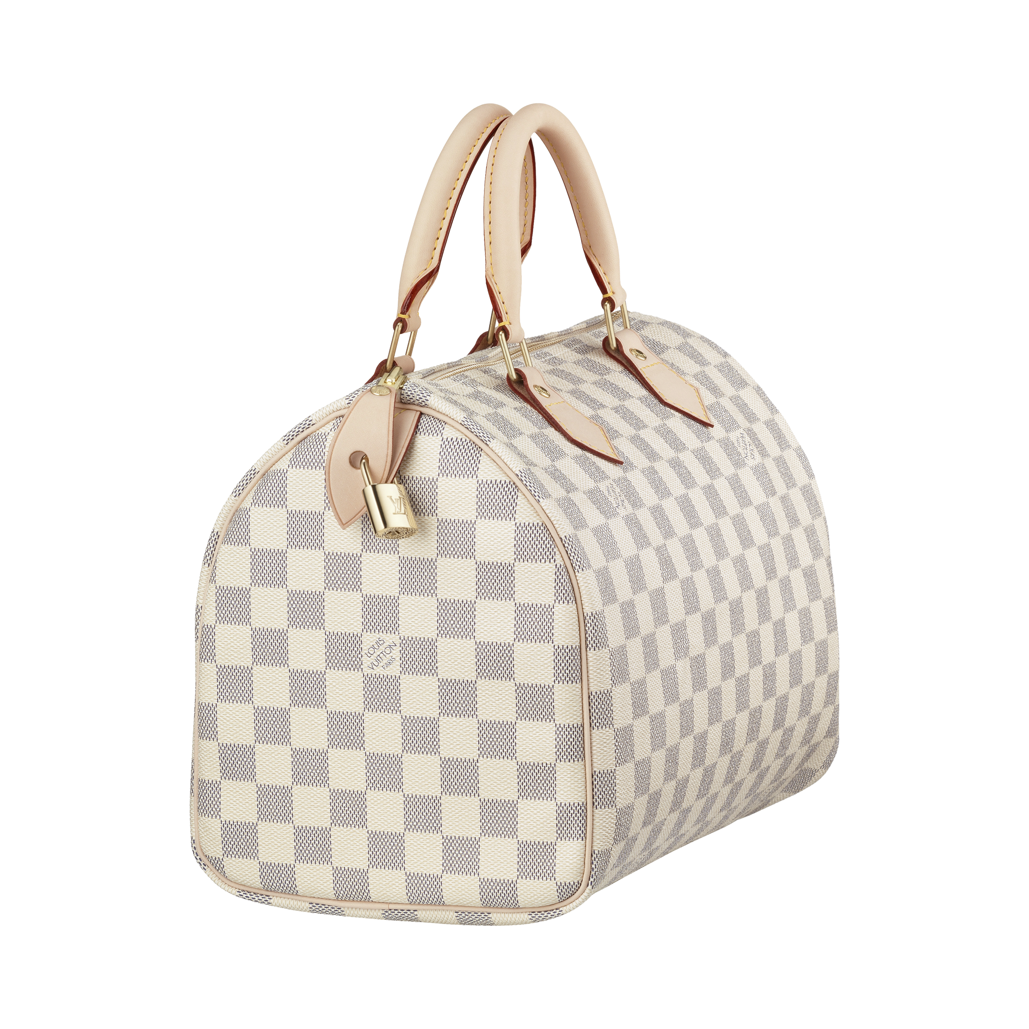 Louis Vuitton Women bag PNG image transparent image download, size