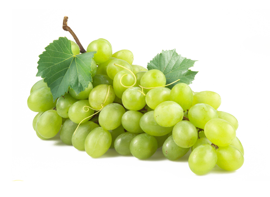 fresh grapes png